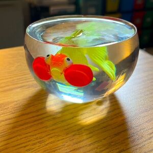 Custom epoxy resin fish. “Fish out of water”